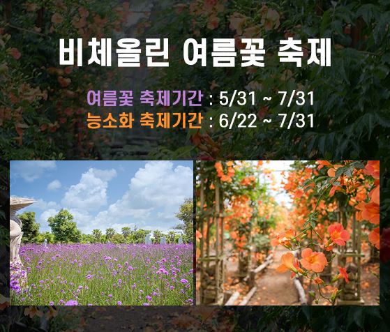 비체올린 이미지