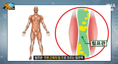 엔비스킨 분당정자점 이미지