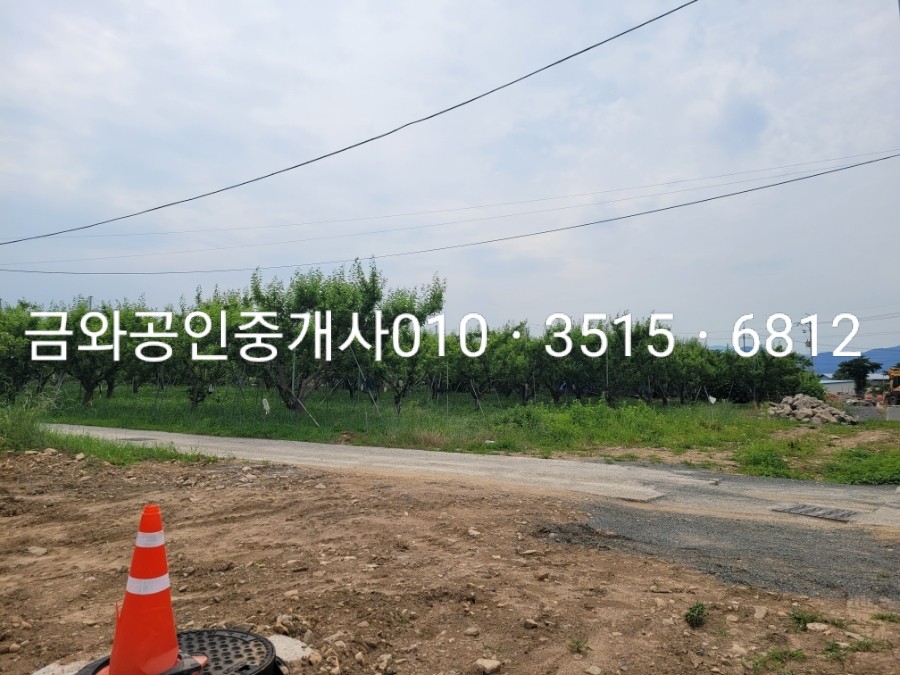 코너613 이미지