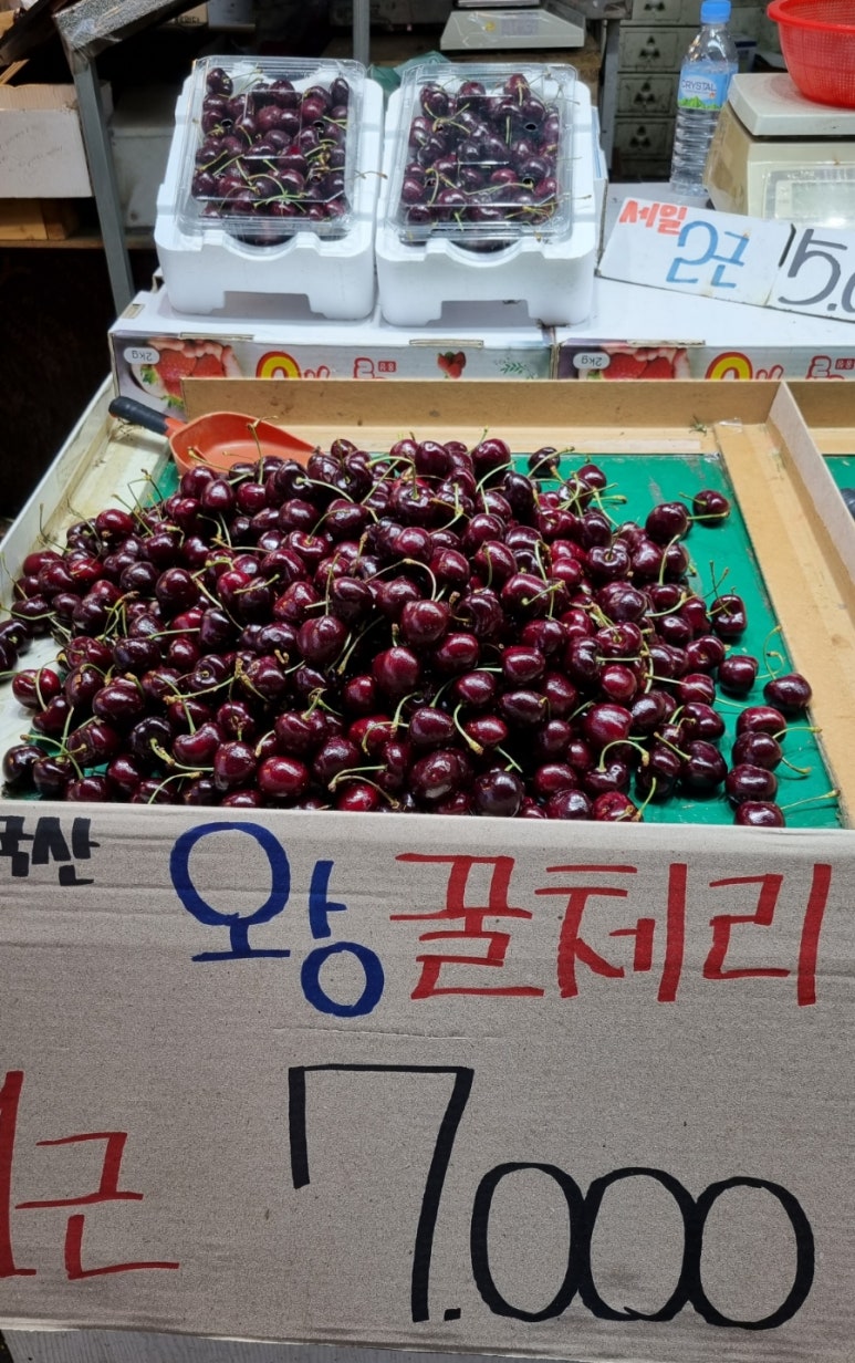 골목청과 이미지