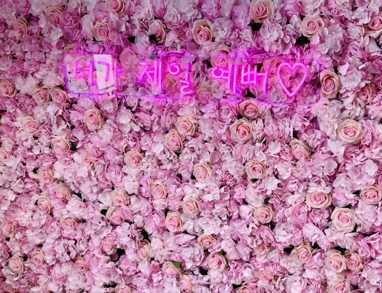 큐리프리미엄키즈카페 이미지