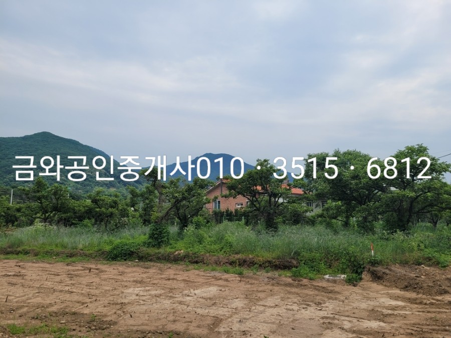 코너613 이미지
