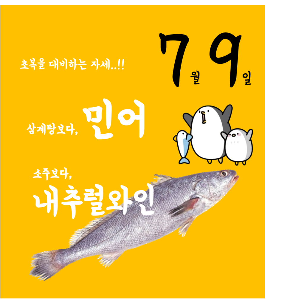 내추럴펭귄 이미지