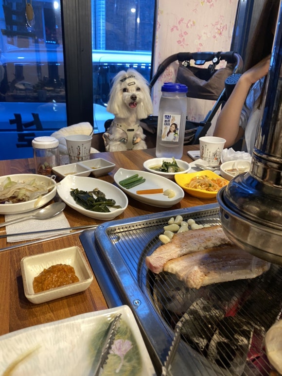 돈또이직화숯불구이점 이미지