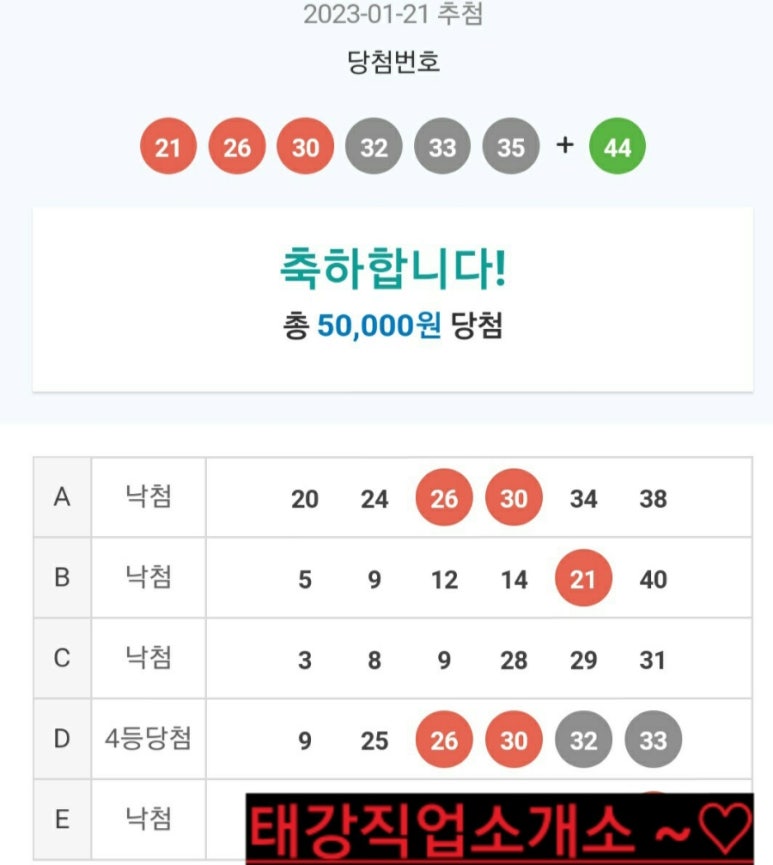 동행직업소개소 이미지