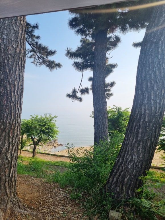 부찌부대 이미지