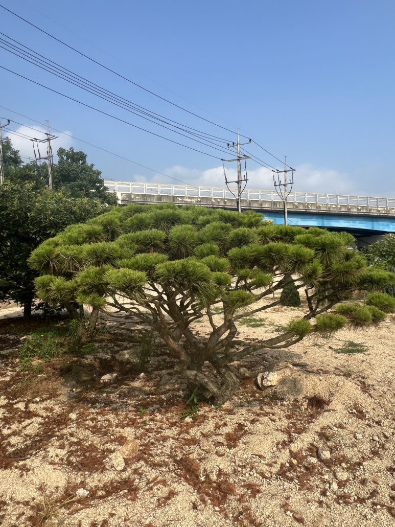 (주) 한울조경 이미지
