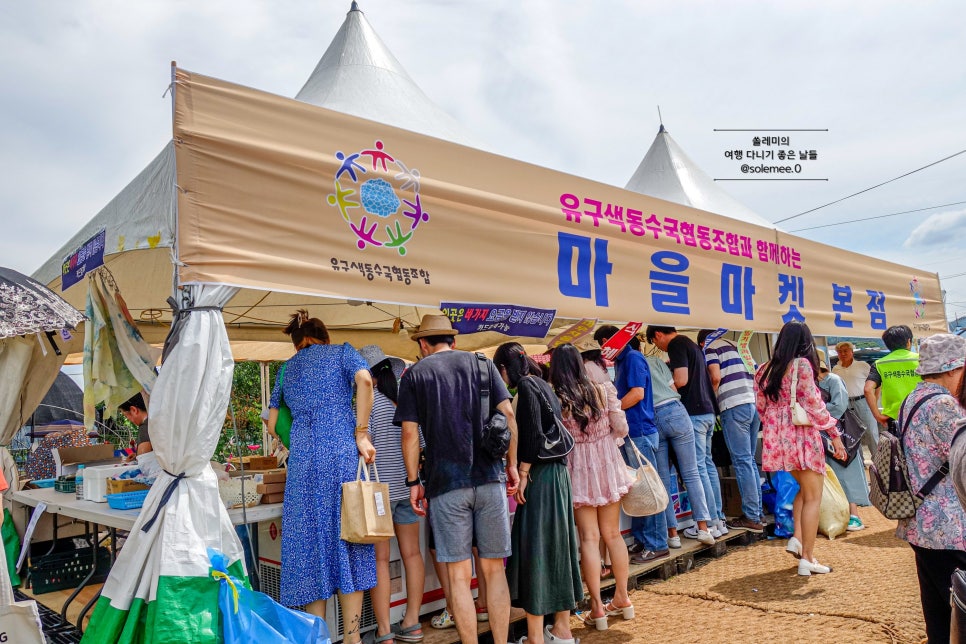 유구색동수국협동조합 이미지
