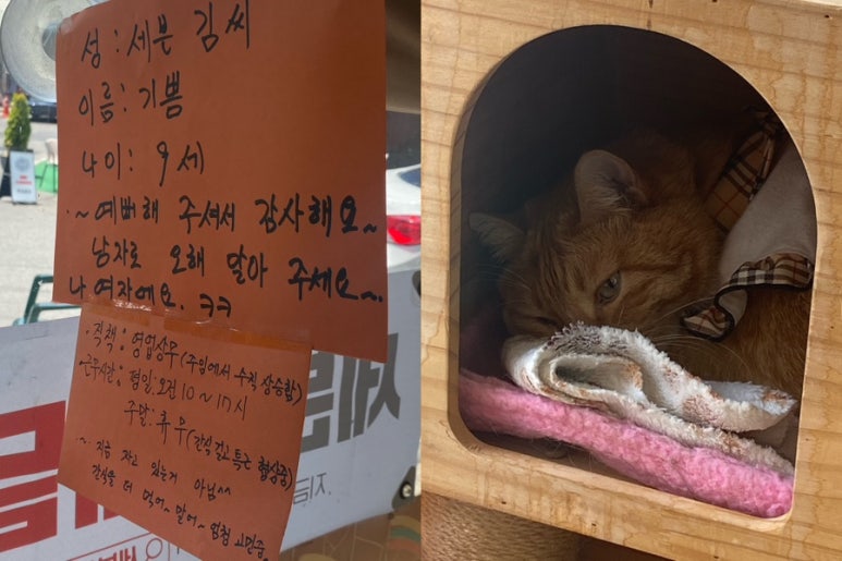 세븐일레븐대전선화점 이미지