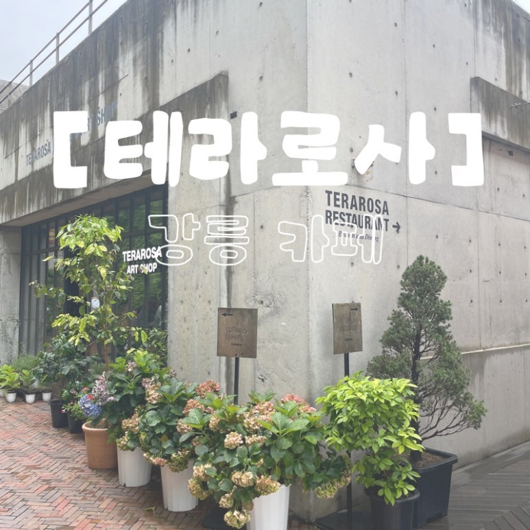 (주)테라투어 이미지