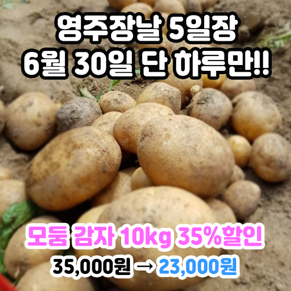 영주 선비곰탕 이미지