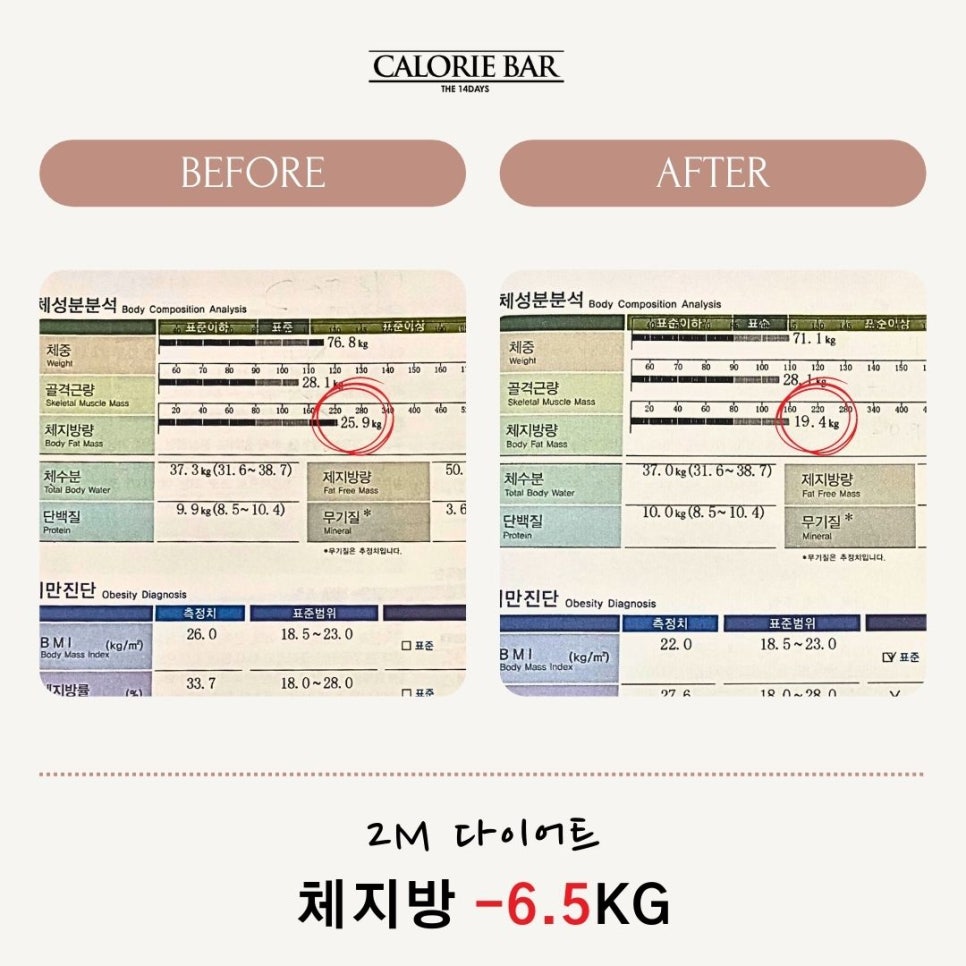 십사일동안 이미지