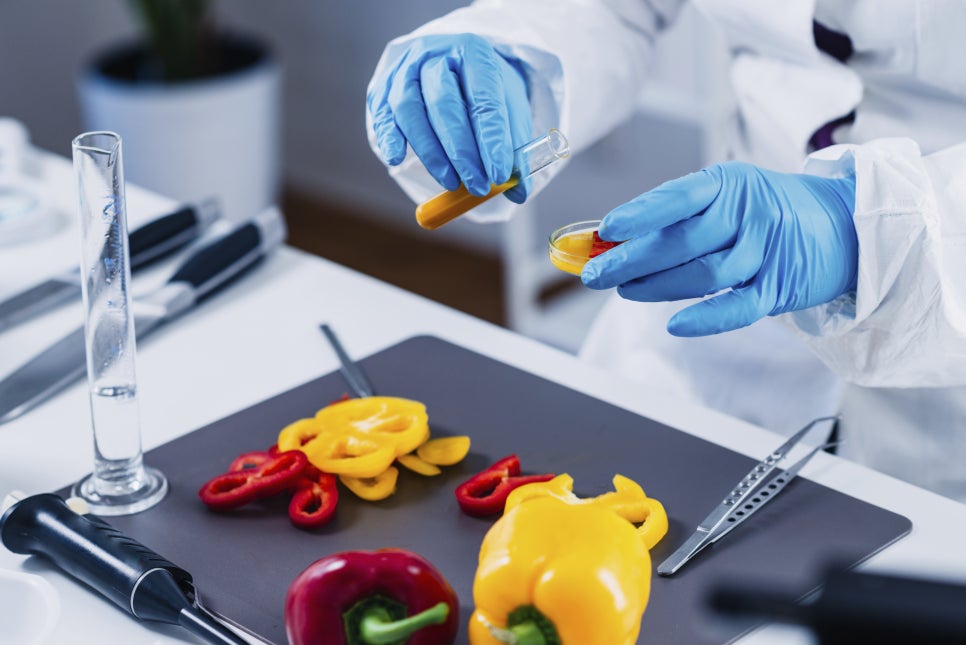 새로식품 이미지