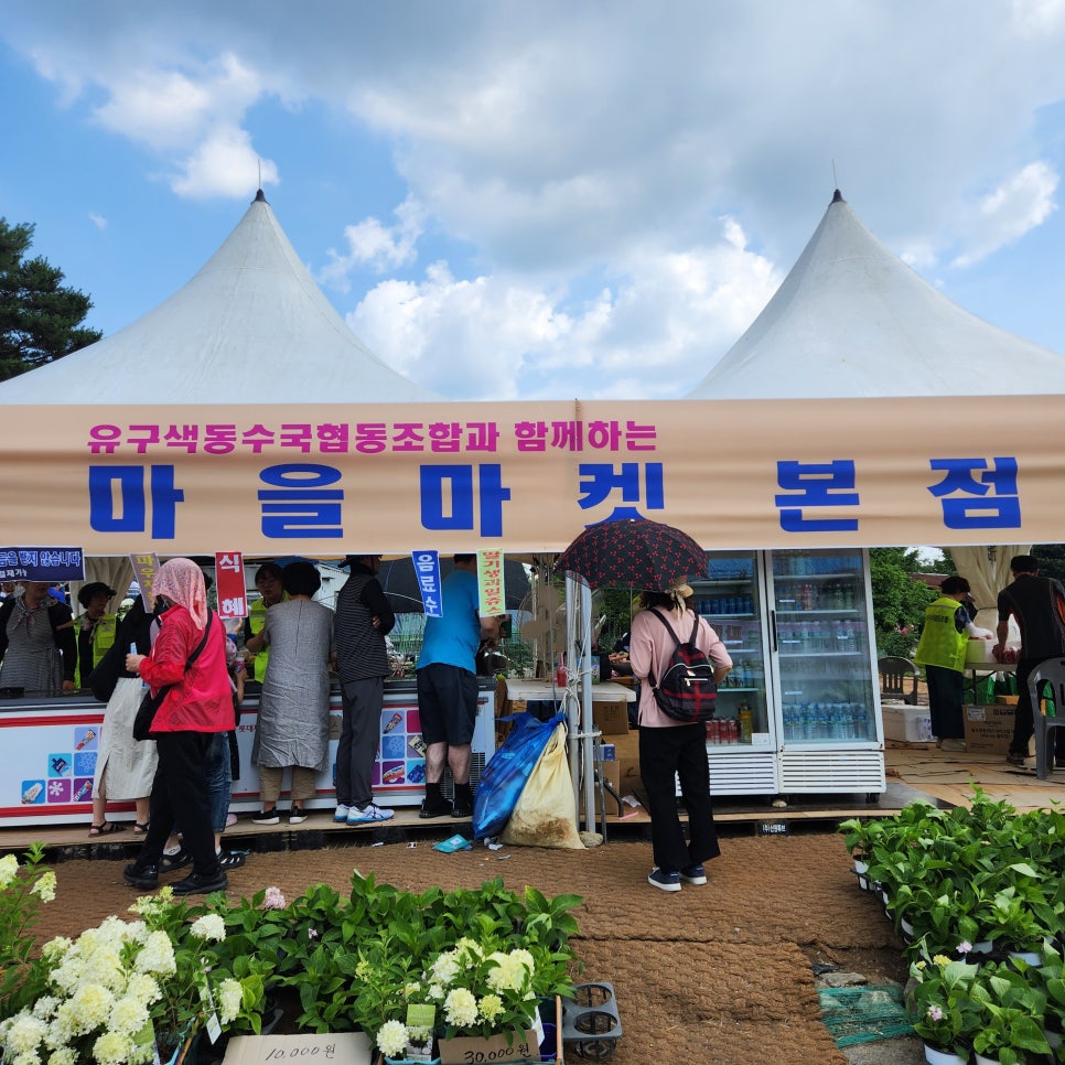 유구색동수국협동조합 이미지