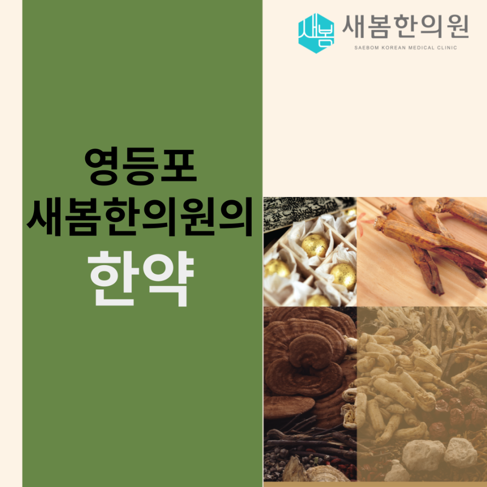새봄한의원 이미지