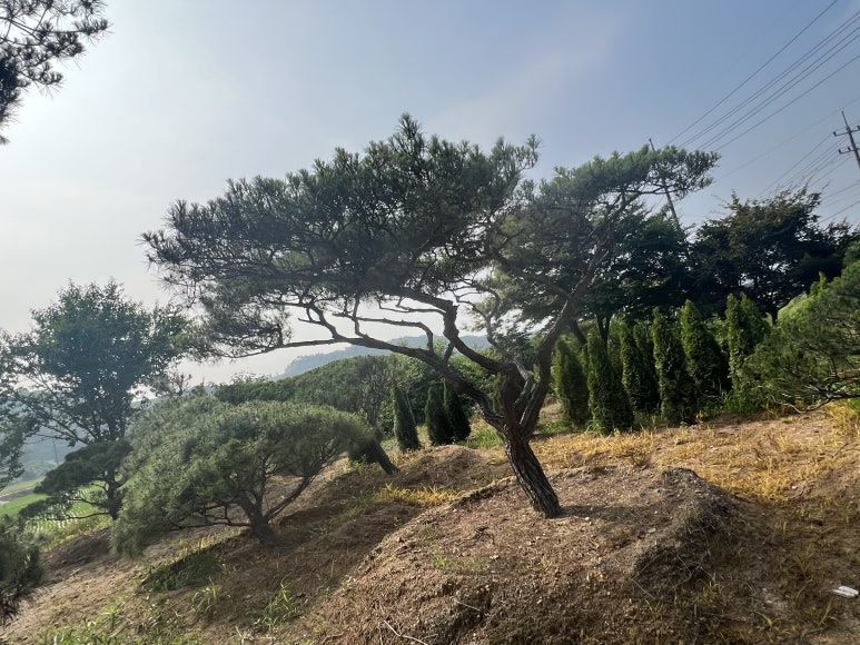 한울조경 주식회사 이미지