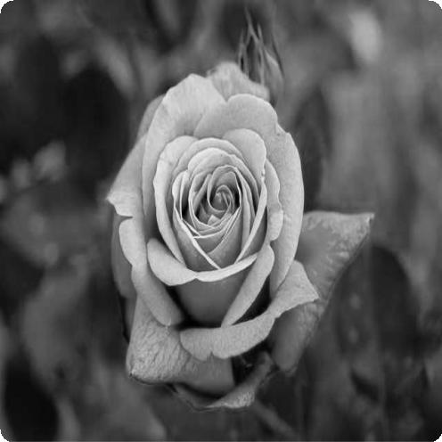 성공한 개발자의 7가지 일상 습관