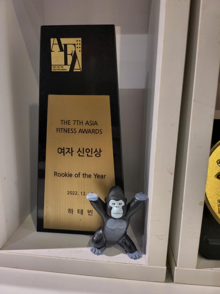 엠에프아이 이미지