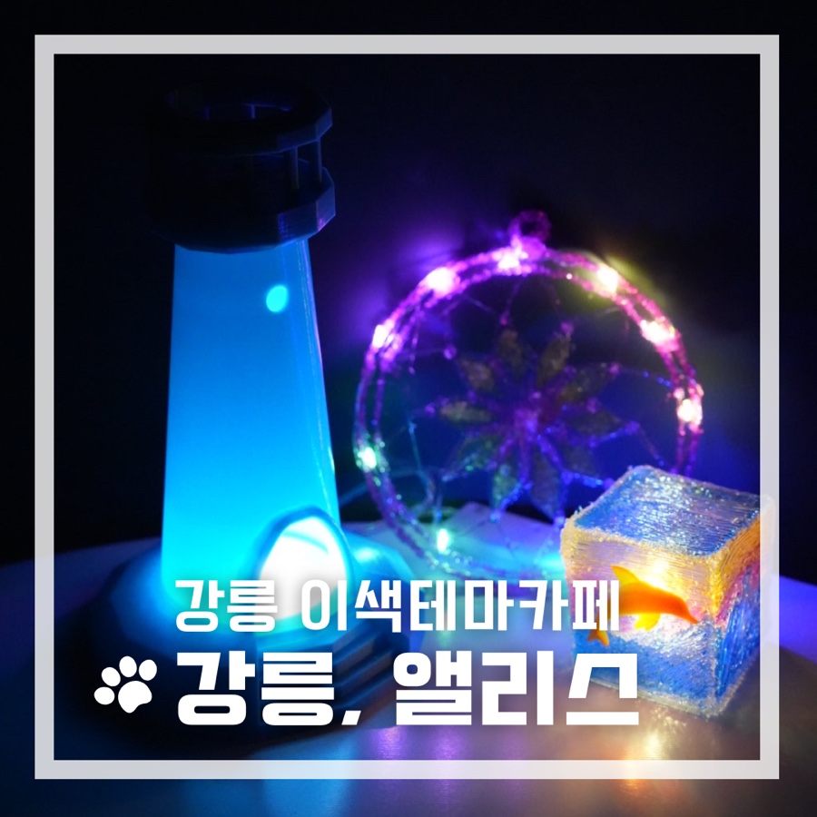 강릉;앨리스 이미지