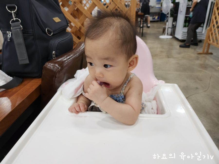 삐약이생선구이 이미지