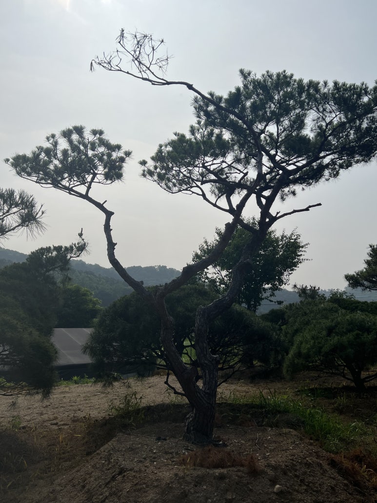(주) 한울조경 이미지