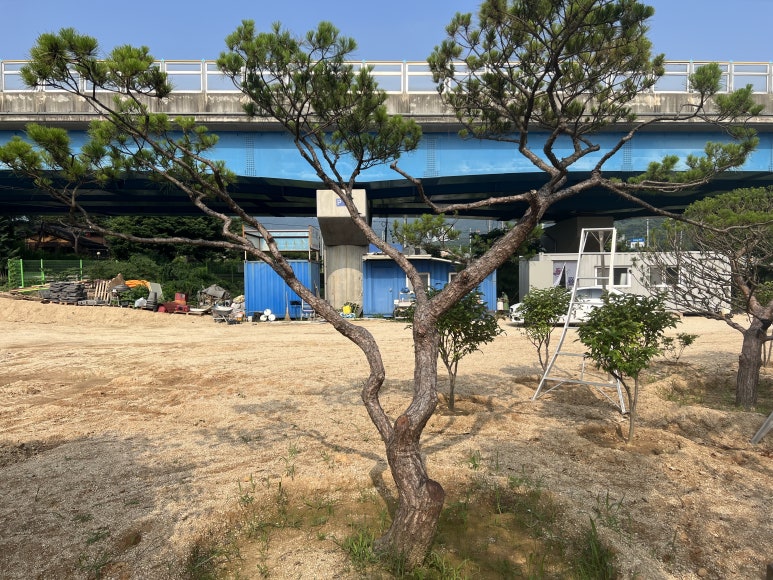 한울조경 주식회사 이미지