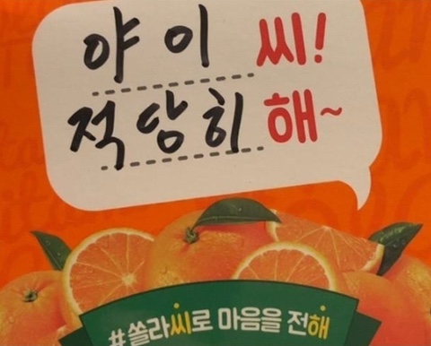 바디윌 이미지