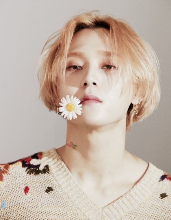 던뮤직 이미지