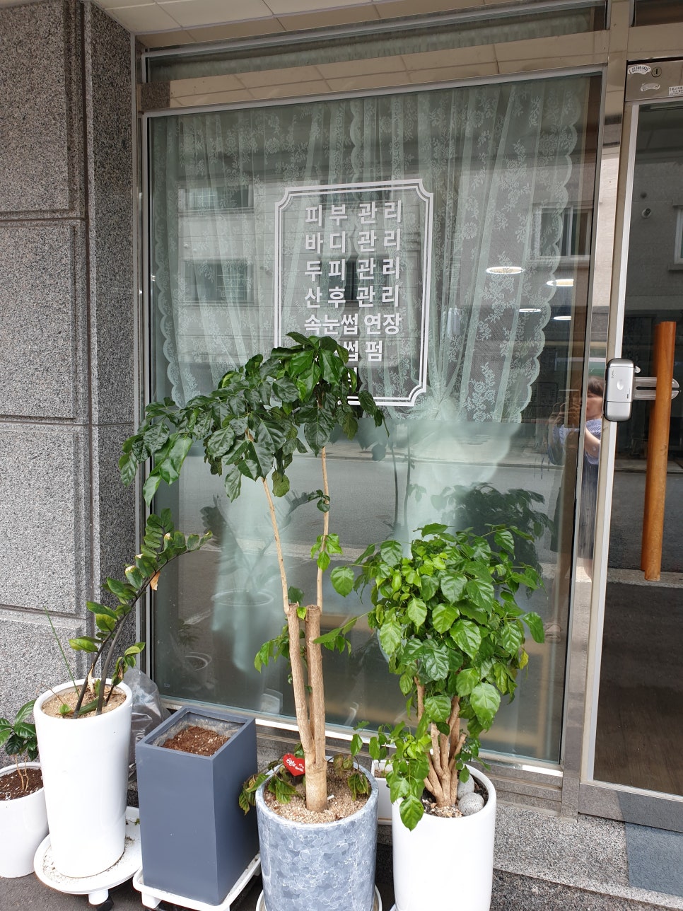 브이원주 이미지