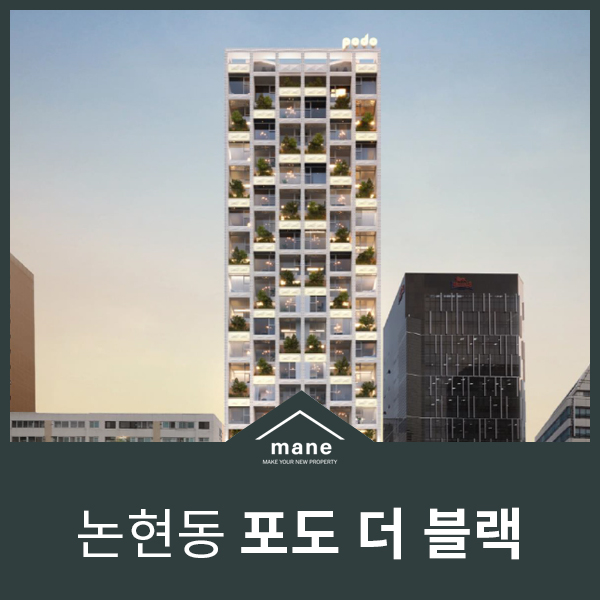 포도힐 이미지