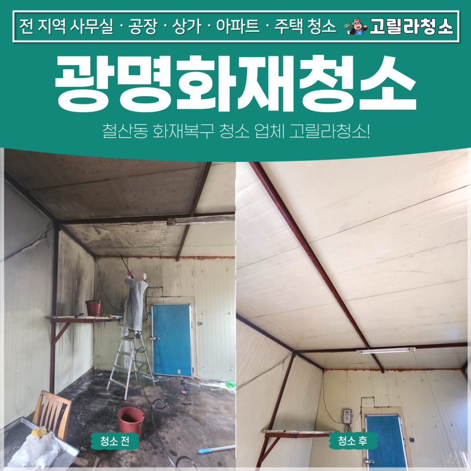 고릴라청소 이미지