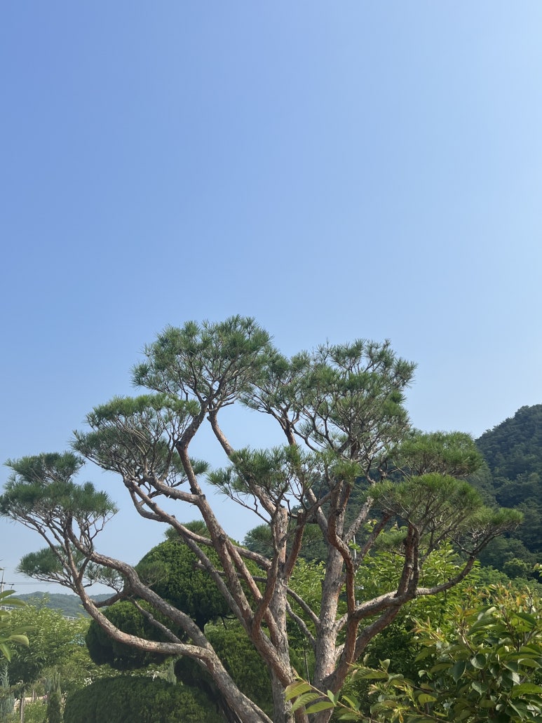 한울조경 주식회사 이미지