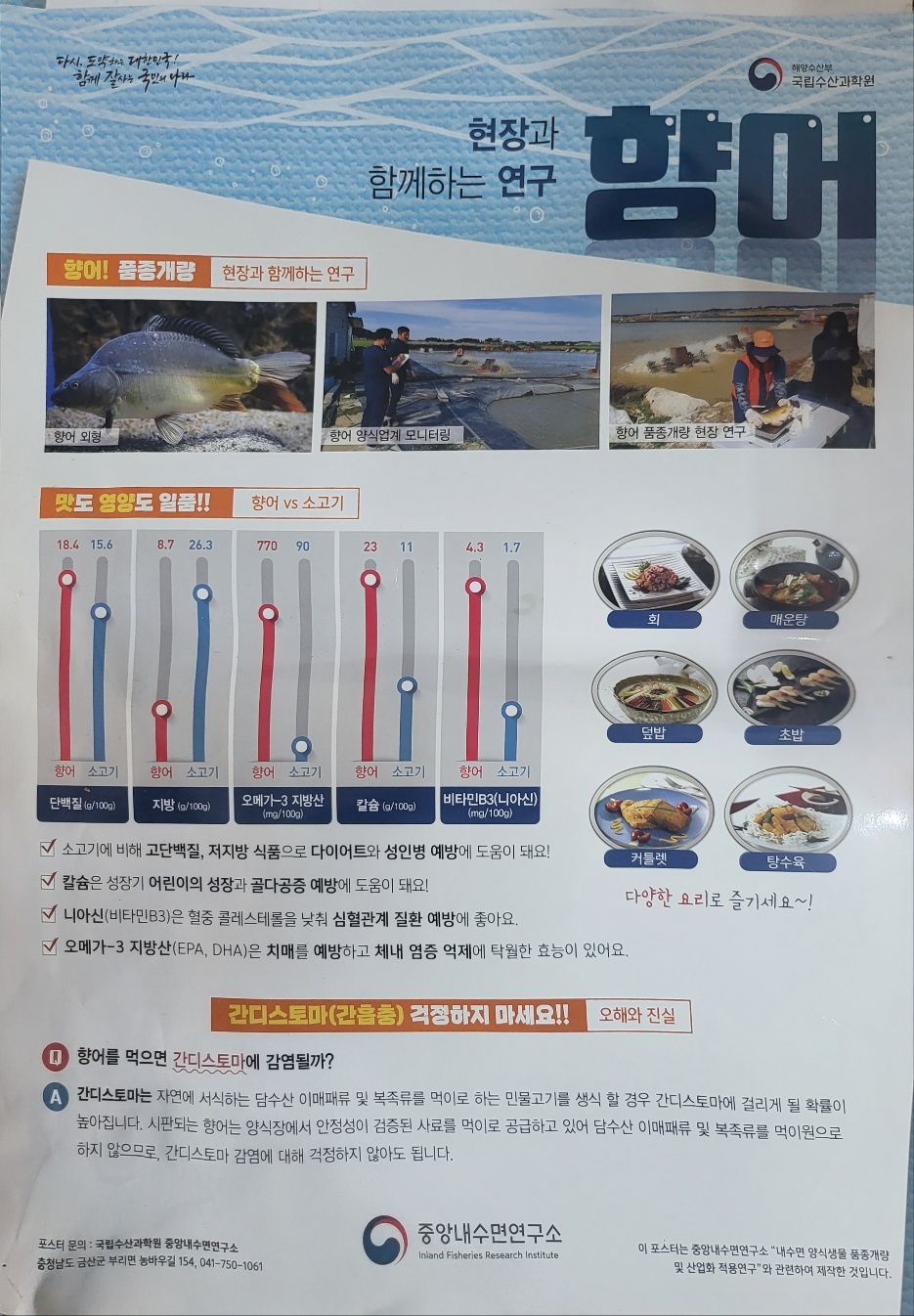향어촌 이미지