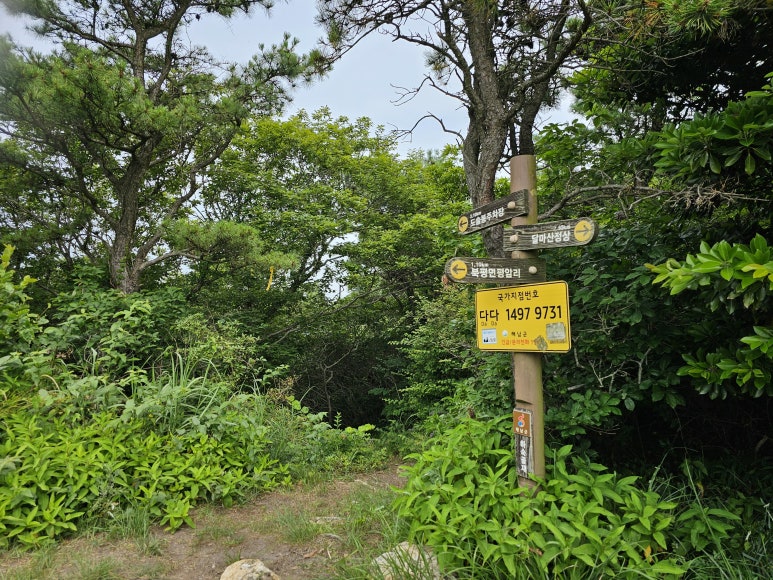 이정하숙 이미지