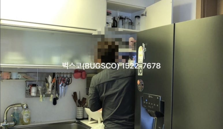 벅스코 이미지