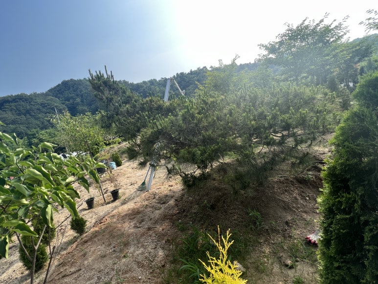 한울조경 주식회사 이미지