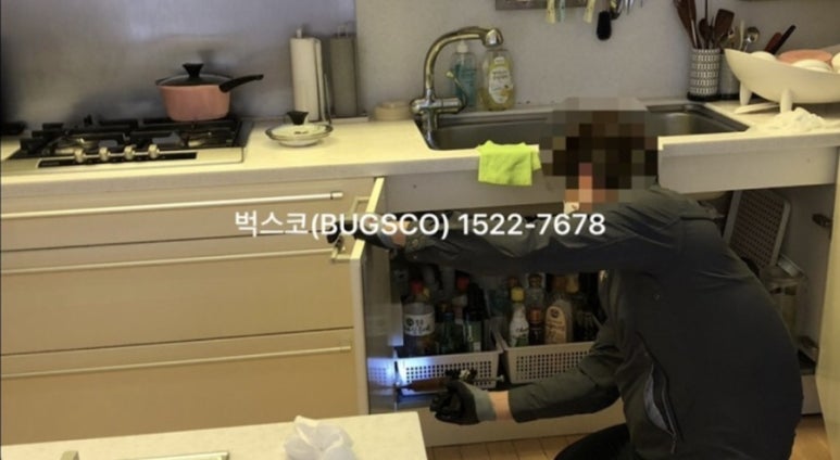 벅스코 이미지
