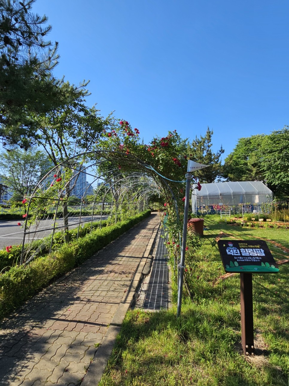 디자인힐링전주 이미지