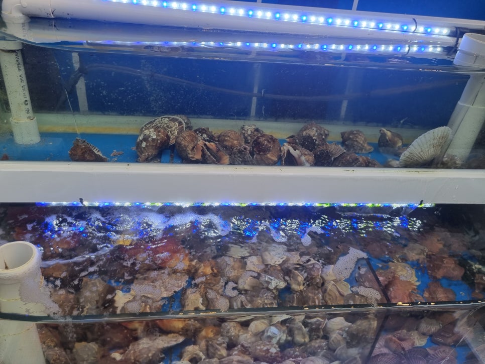 청년수산 이미지