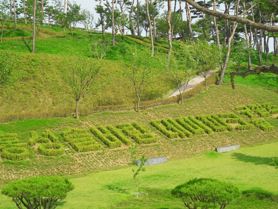 솔바람조경 이미지