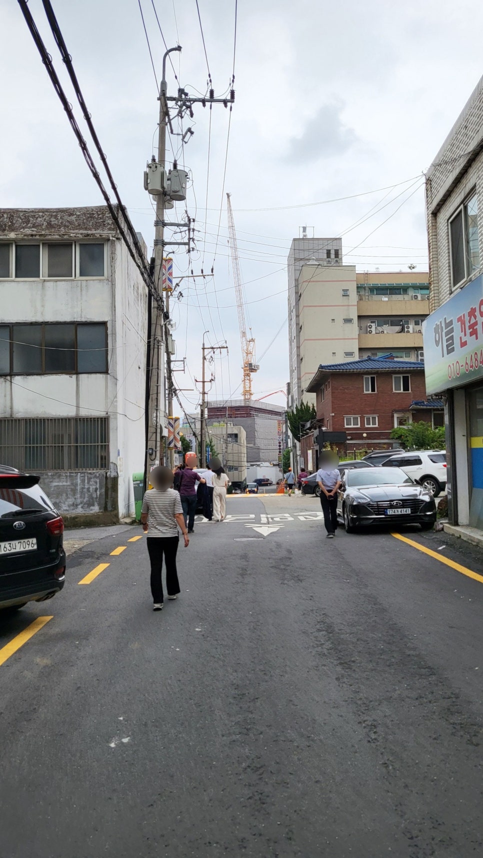 녹차유황오리 이미지
