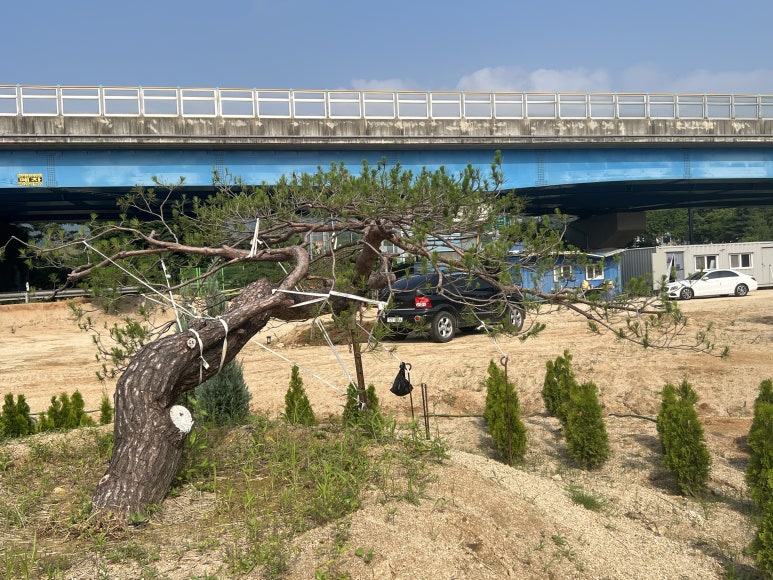 한울조경 주식회사 이미지