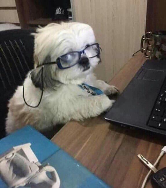 매팅클 이미지