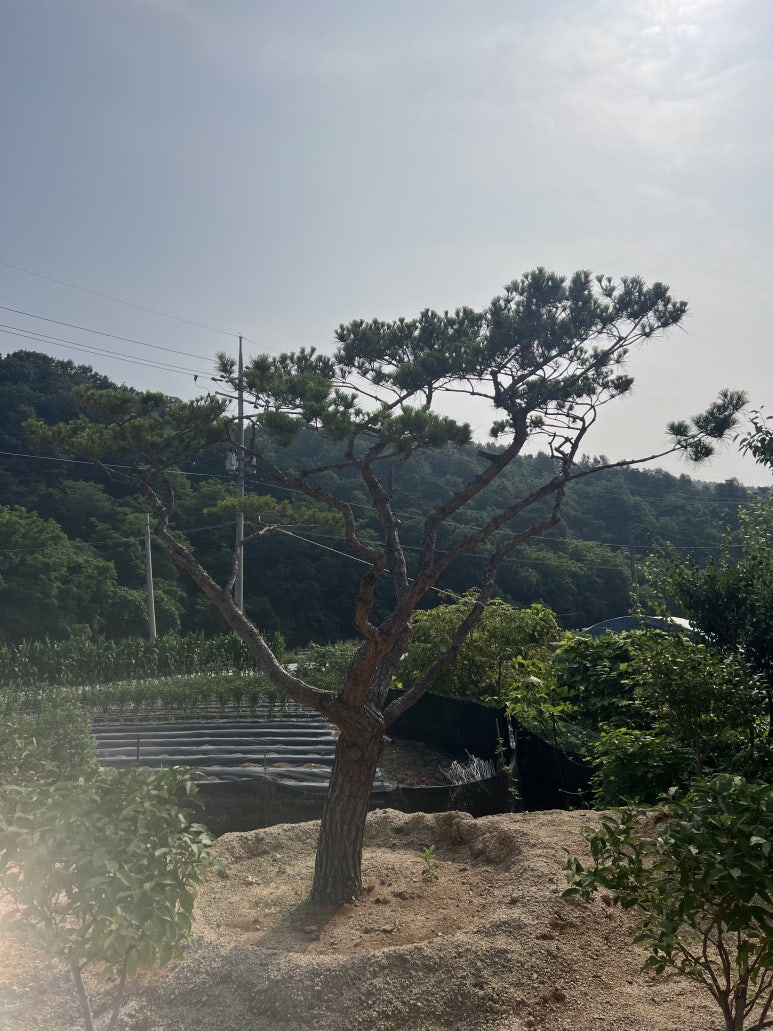 한울조경 주식회사 이미지
