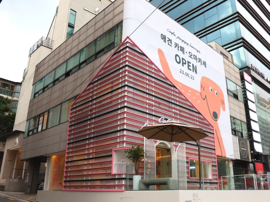 퍼피라운지 이미지