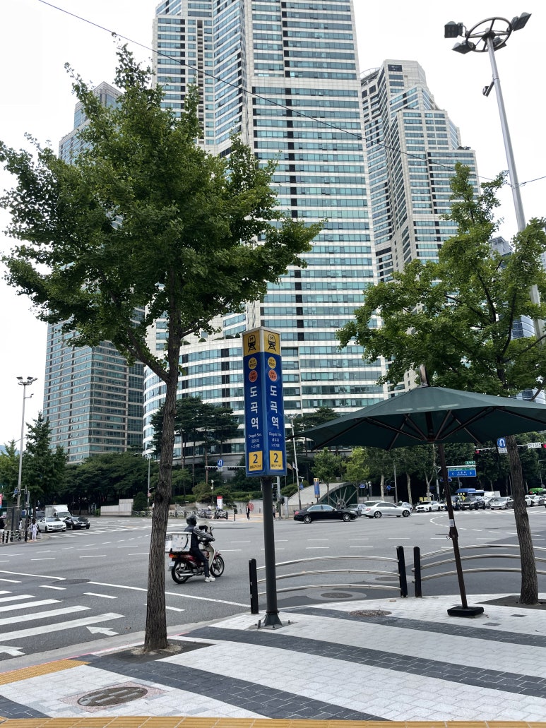 이기는면역찬 이미지