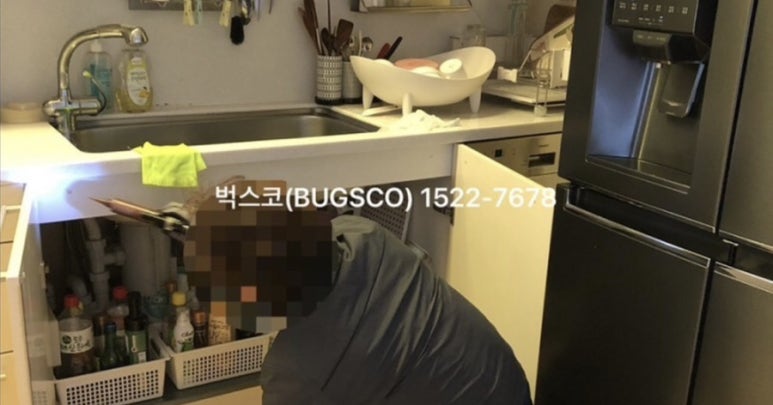 벅스코 이미지