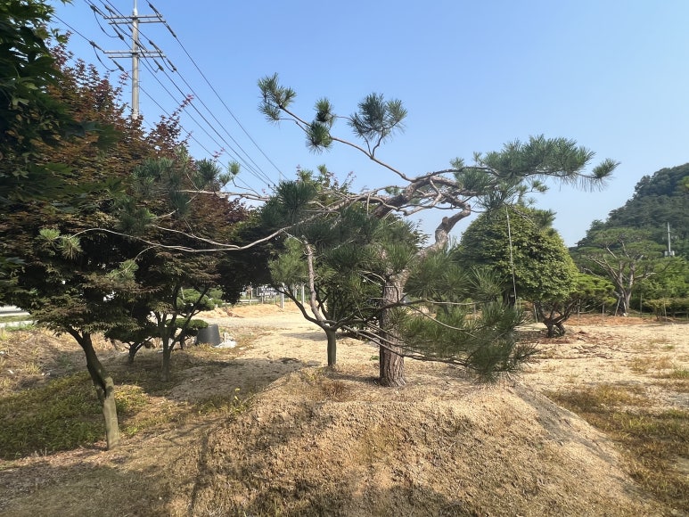 한울조경 주식회사 이미지