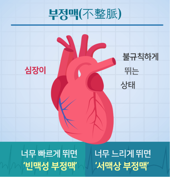 분당본내과의원 이미지