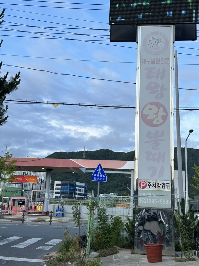 태왕왕볼때기 이미지
